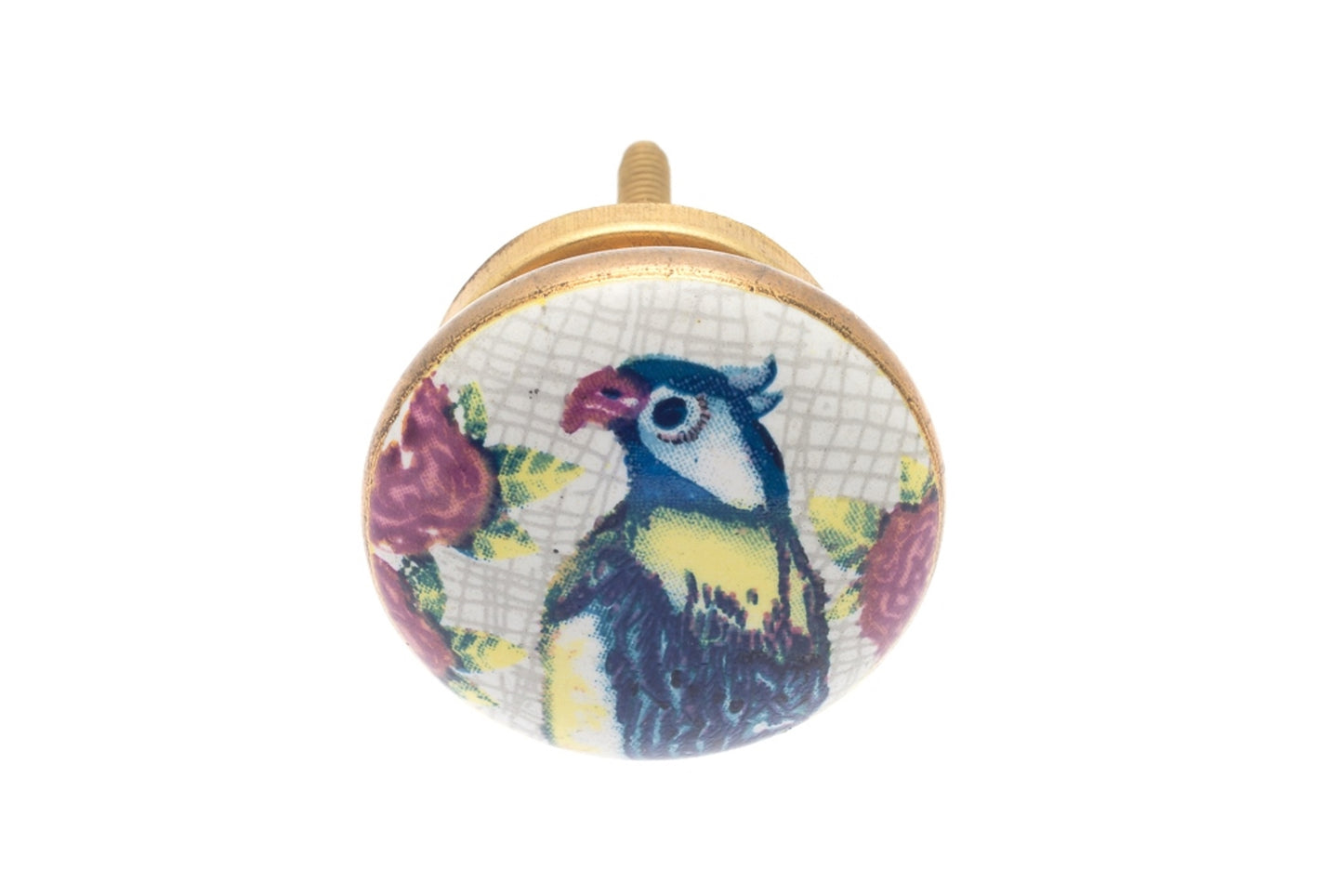 Ceramic Door Knobs 'Parrot' Design