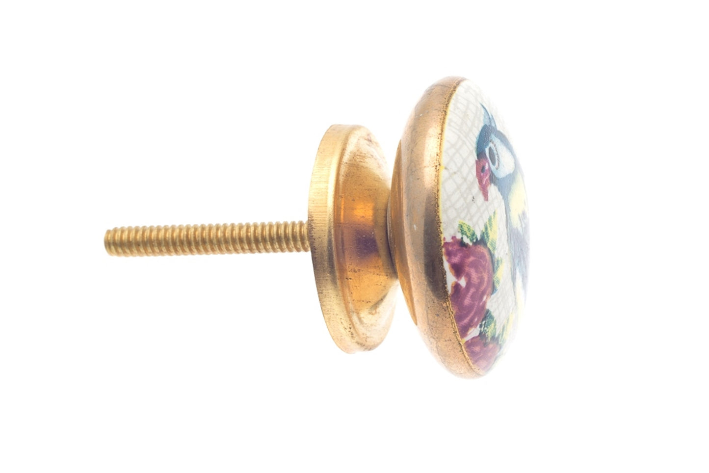 Ceramic Door Knobs 'Parrot' Design