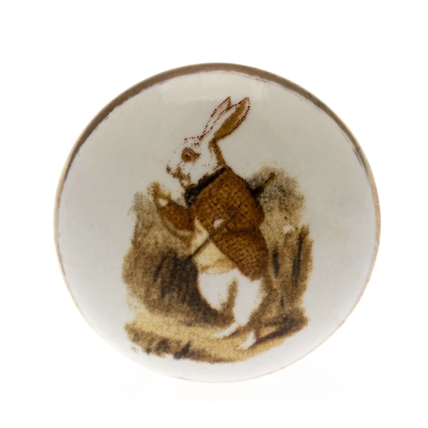 Ceramic Cupboard Knob Alice in Wonderland in Colour 'White Rabbit I'm Late'