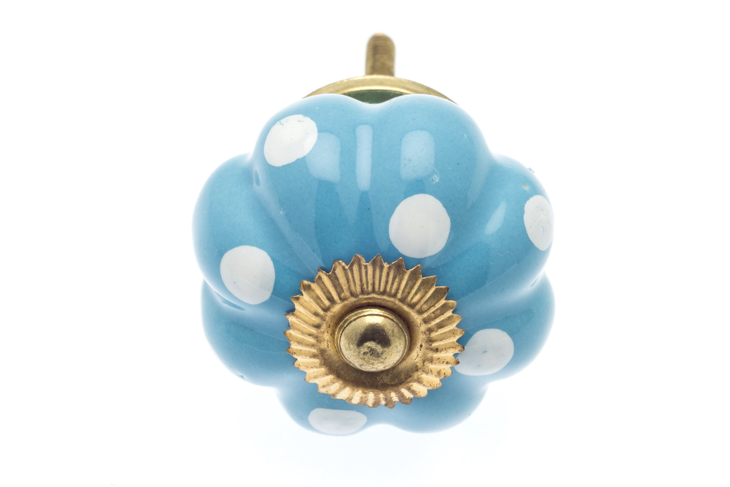 Ceramic Door Knob Sky Blue Flower Shape with White Dots - Polished Brass