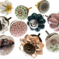 Hand Finished Ceramic Door Knobs in Vintage Styles (Set of 10)
