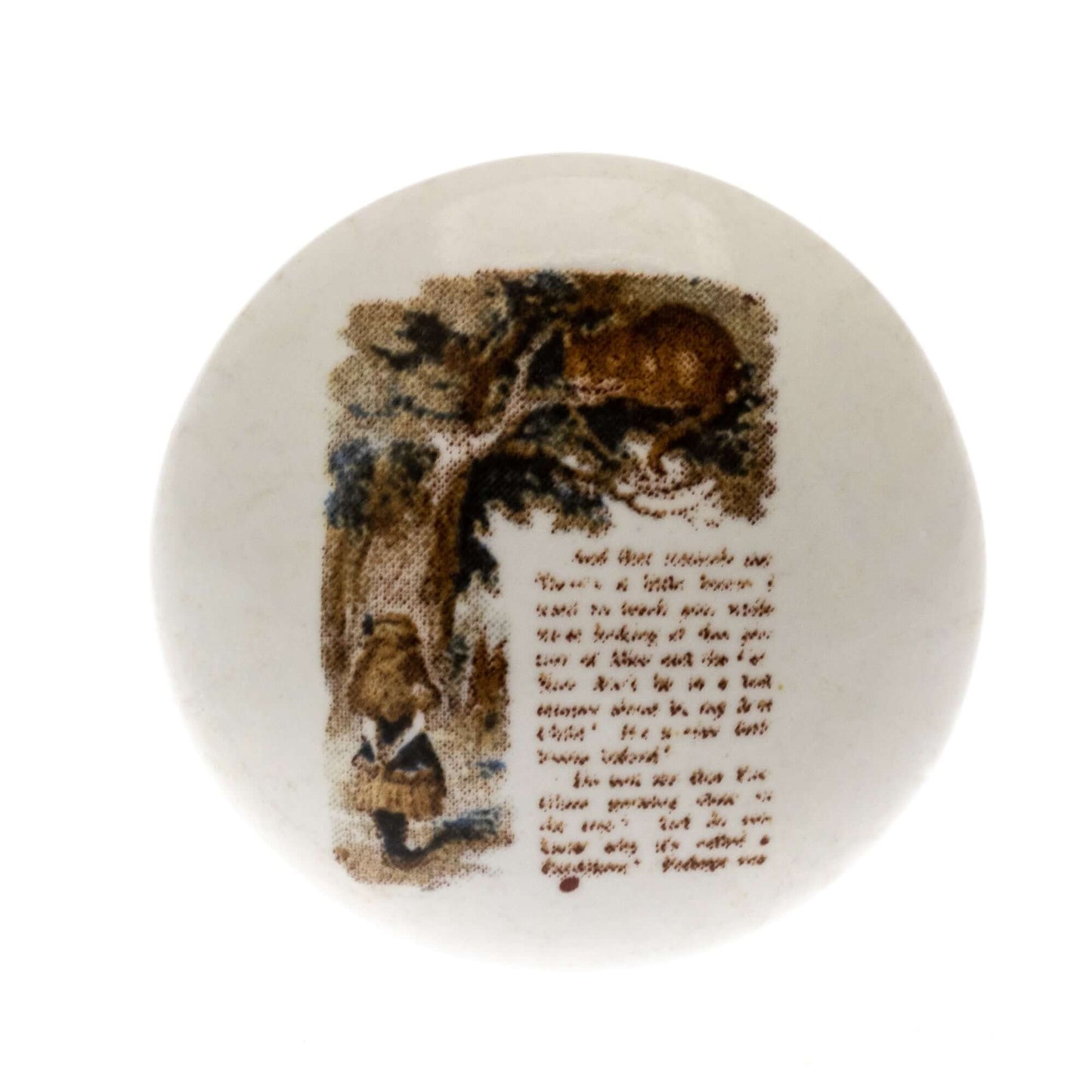 Ceramic Cupboard Knob Alice in Wonderland in Colour 'Alice and Cat'
